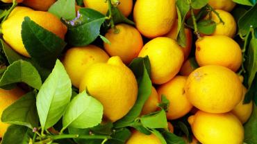 Zitronen aus Sizilien